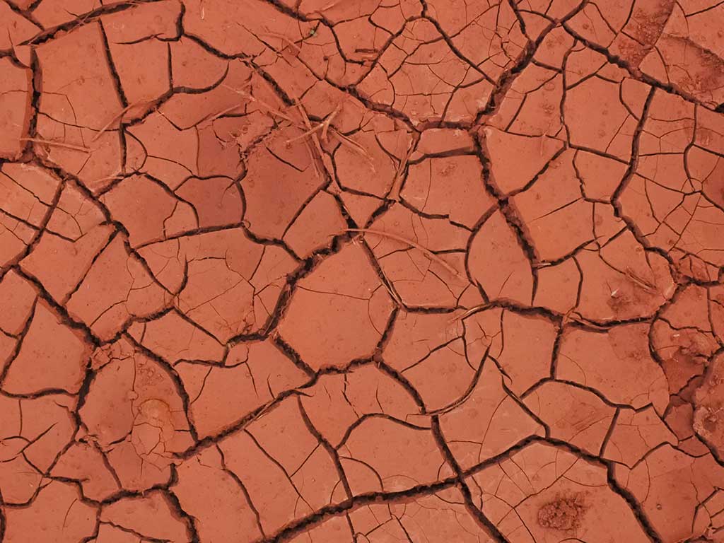 Manejo de solo argiloso