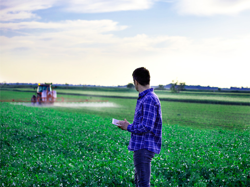 Agronegócio no Brasil: Cenário atual e apostas para o futuro