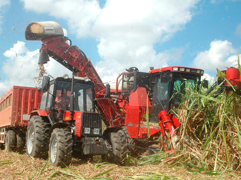Colheita mecanizada: como obter a melhor lucratividade