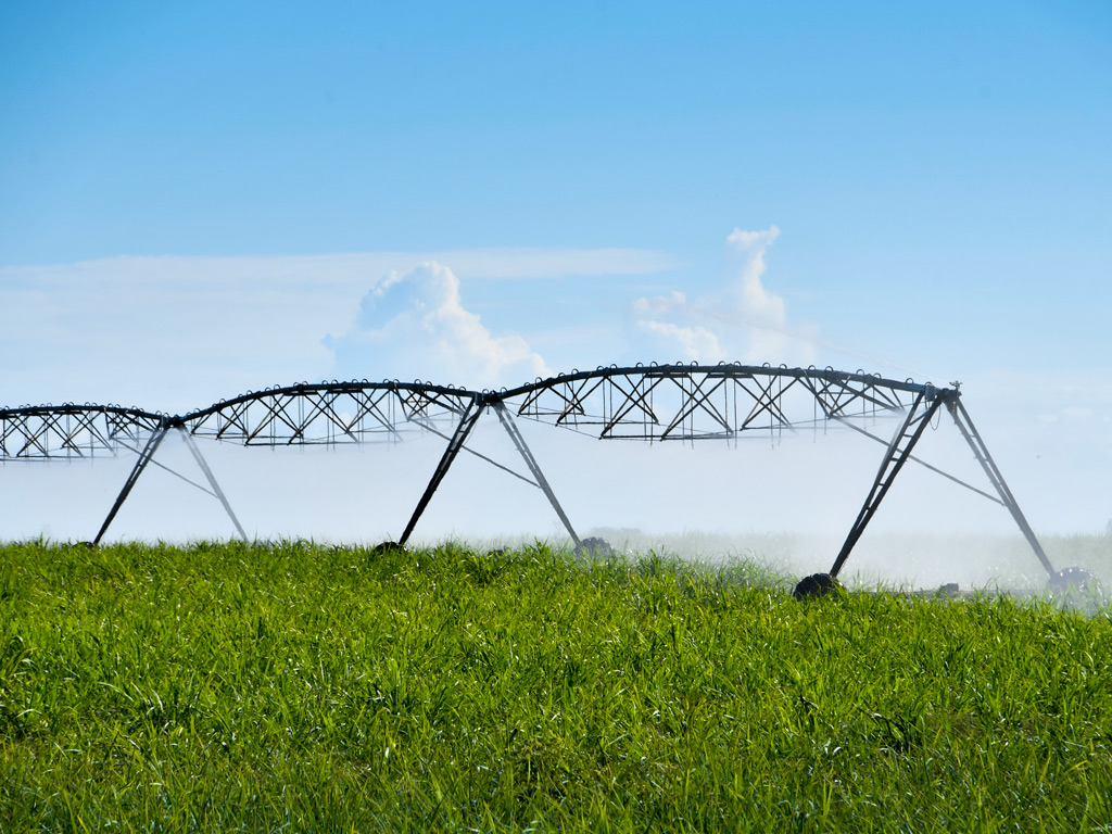 Sistema de Irrigação. Tipos e vantagens para os canaviais