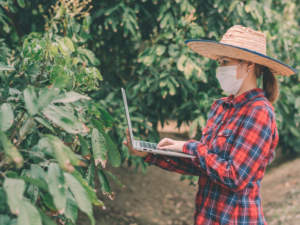 Os impactos do coronavírus no agronegócio