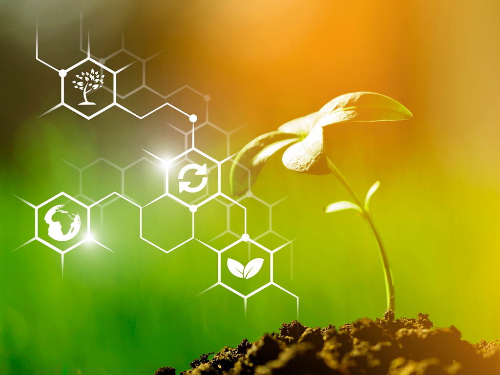 Micronutrientes para Fixação Biológica do Nitrogênio (FBN)