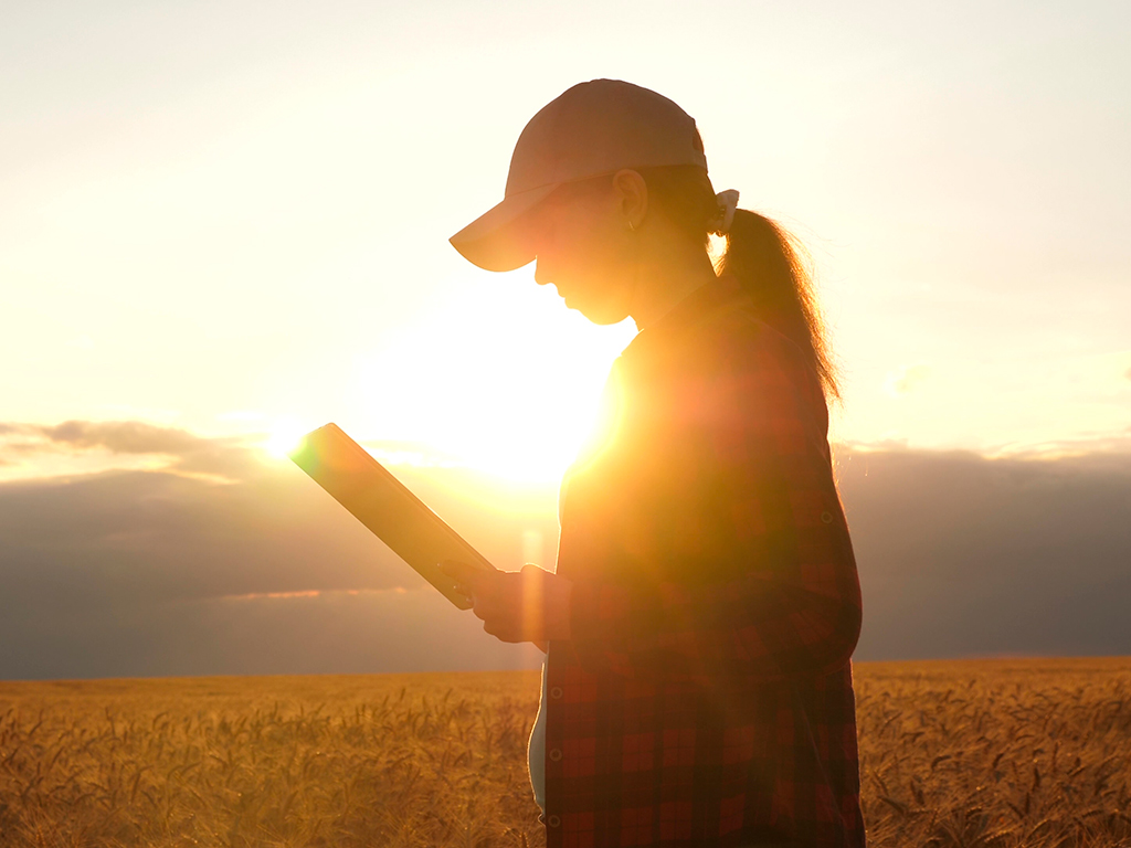 Planejamento Agrícola Pós-Safra na Agricultura de Precisão