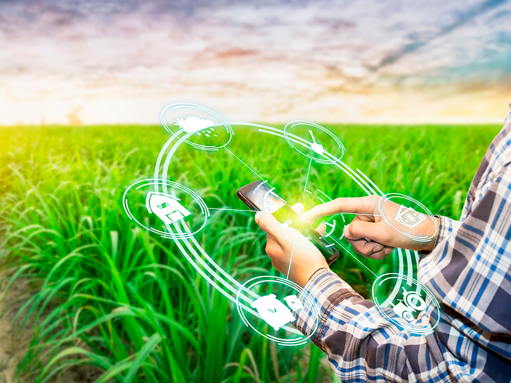 Administração rural: Trate a lavoura e criação como negócio