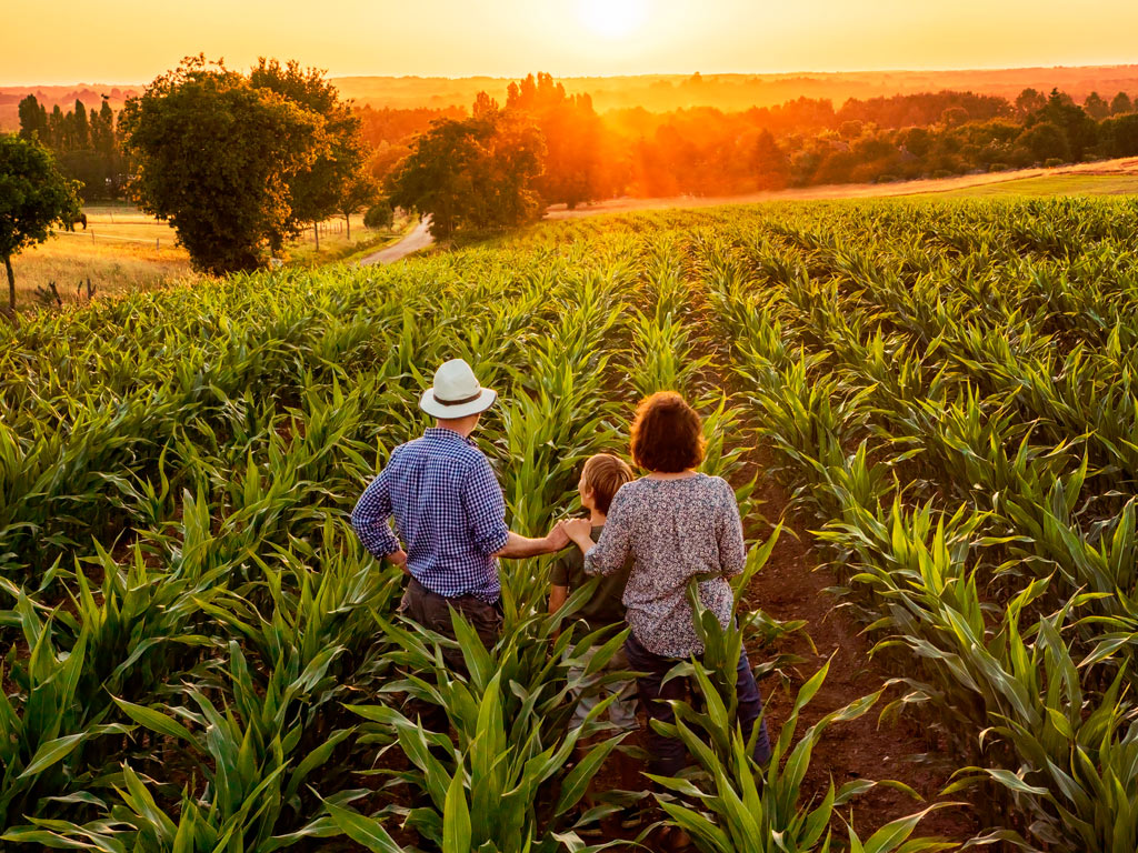 Dia do Agricultor: Uma data que merece ser comemorada