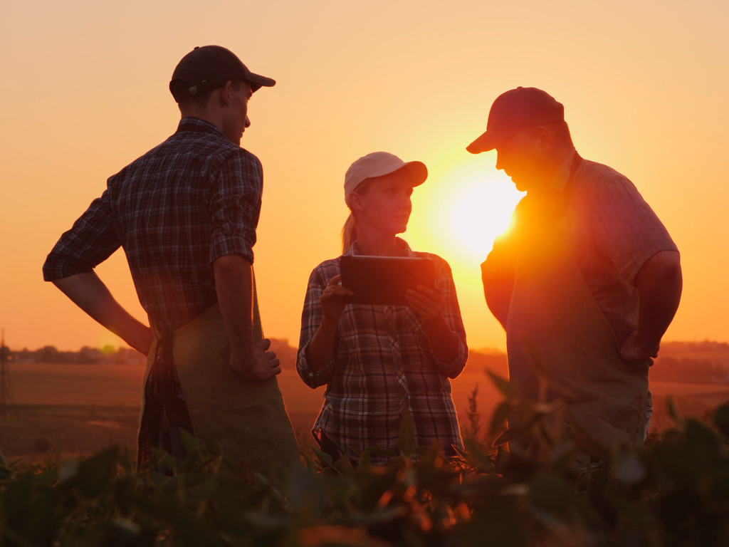 Administração familiar da fazenda: dicas para a eficiência