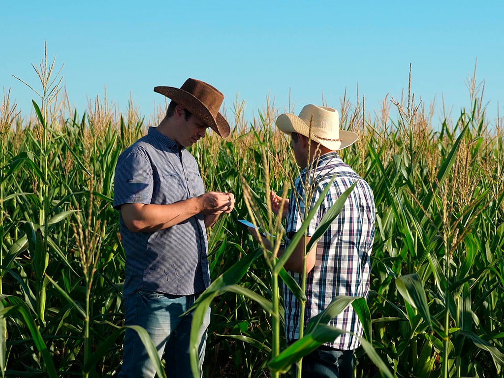 Sucessão familiar na agricultura: como fazer de forma serena
