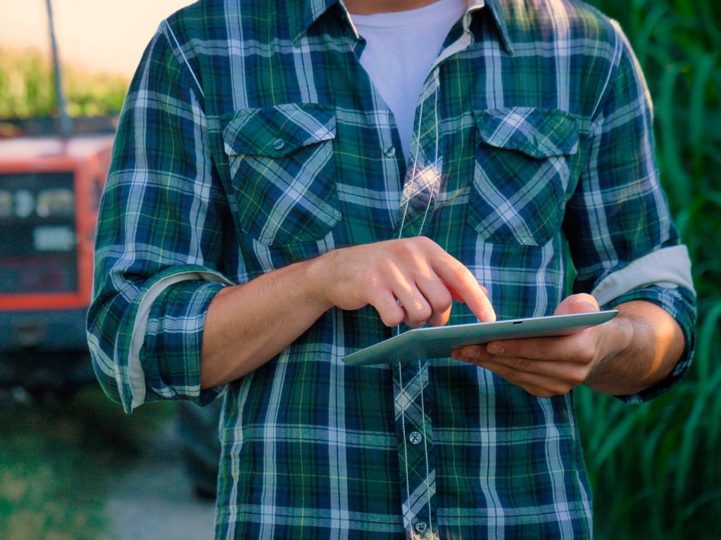 Controle financeiro da fazenda com um software agrícola