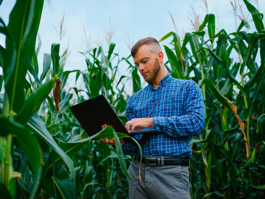 Vantagens da gestão integrada para o sucesso da fazenda