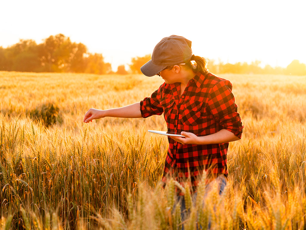 Gerenciamento agrícola: Você está pronto para safra de 2021?