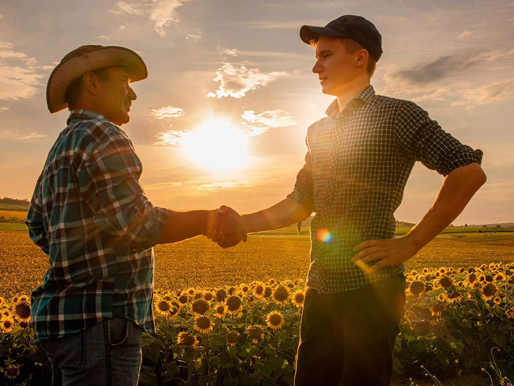 Dicas para contratar uma consultoria agrícola e modernizar seu negócio