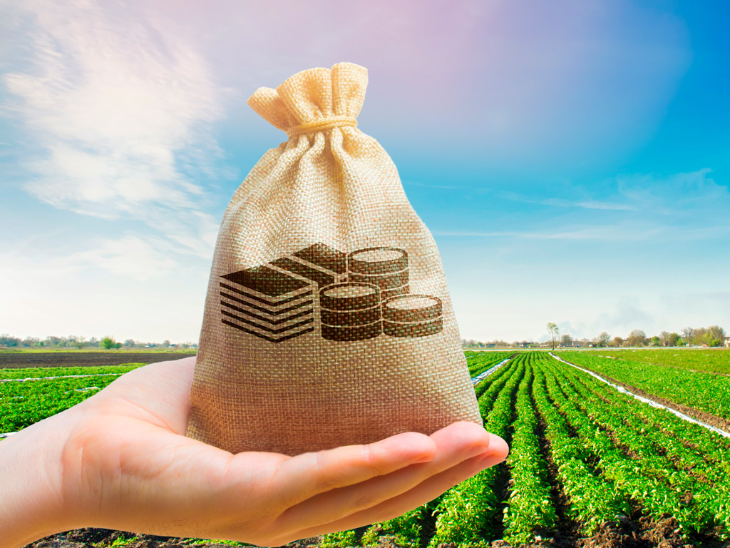 Crédito rural: cresce a contratação após Plano Safra 2020/21