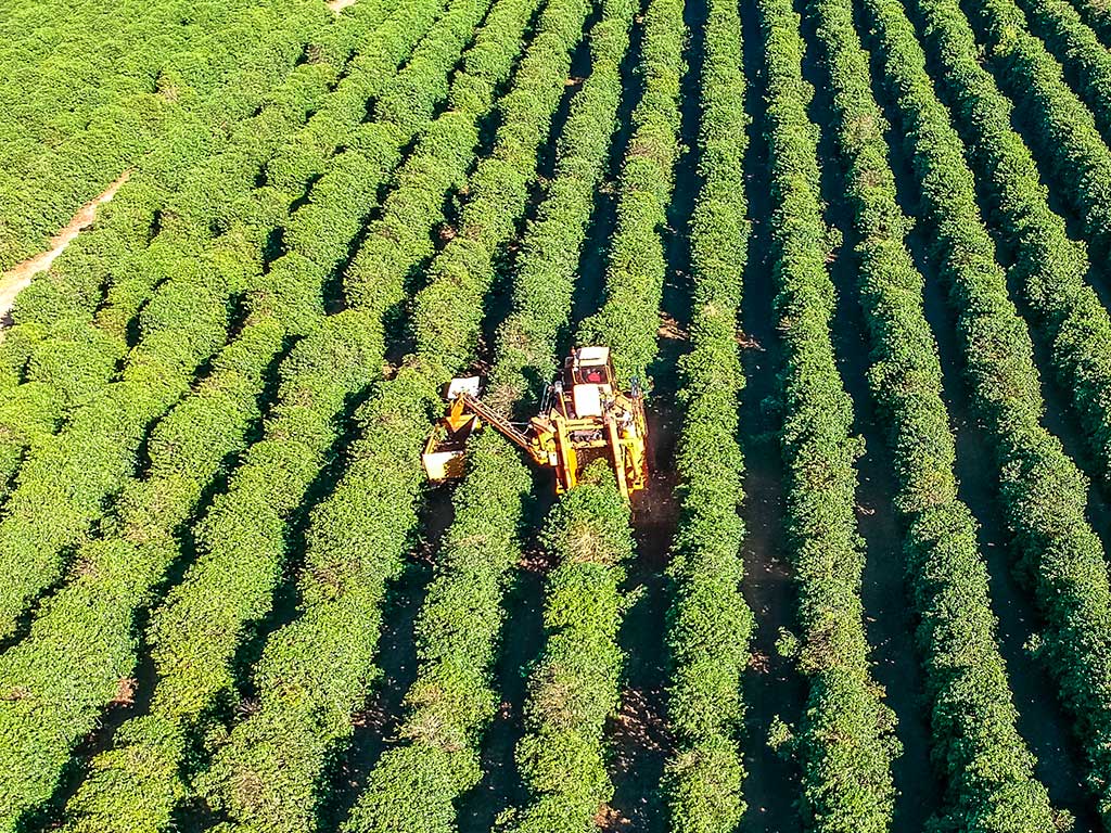 Principais Tecnologias e Máquinas Agrícolas na Cafeicultura