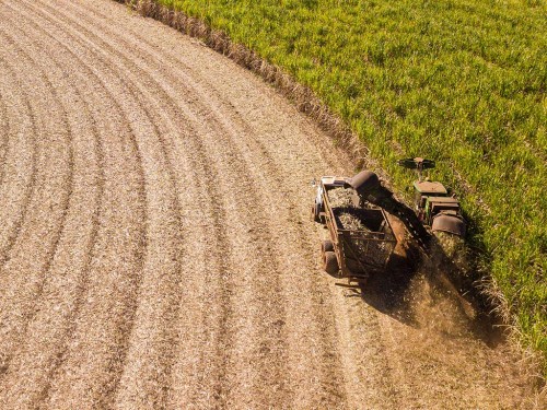Gestão de Custo Agrícola na Colheita da Cana-de-Açúcar
