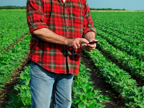 Custo Agrícola em Fazendas de Soja: Máquinas e Mão de Obra