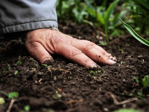 Como Melhorar a Qualidade do Solo com a Gestão Agrícola