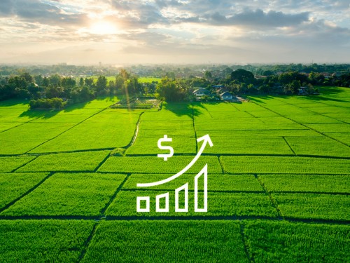 Importância da Gestão de Custo Agrícola por Fazenda, Talhão e Operação