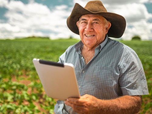 Onde Encontrar Informações Importantes para Produção Agrícola