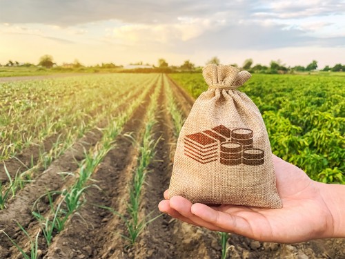 Os Principais Impostos na Tributação do Produtor Rural