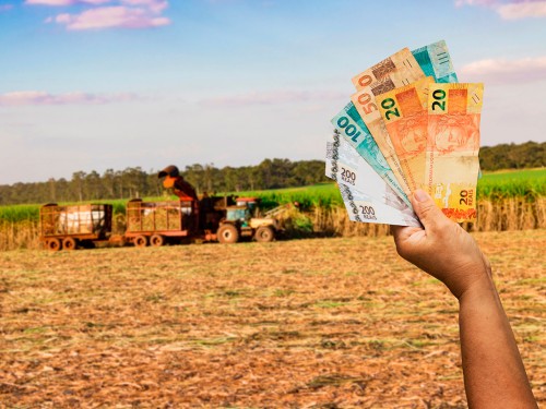 Ranking de Despesas na Colheita da Cana-de-Açúcar