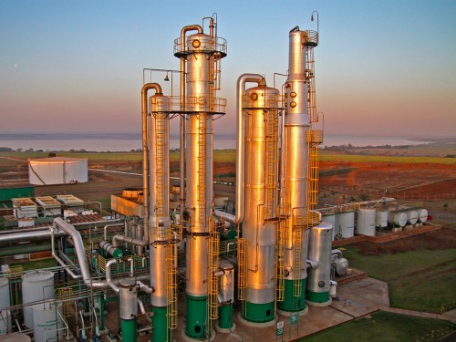 Cana-de-Açúcar: Como Está o Mercado e o que Esperar em 2022