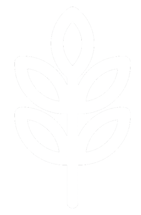 App CHB Perdas Colheita