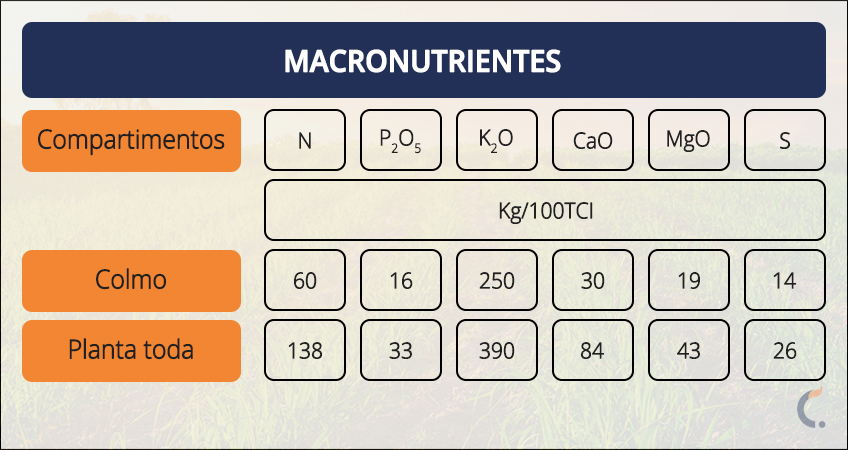 Macronutrientes da Cana Macronutrientes da Cana