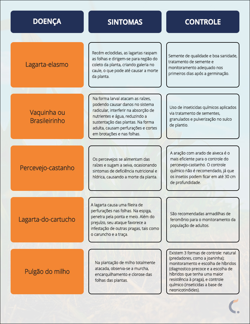 Pragas e Doenças no Milho