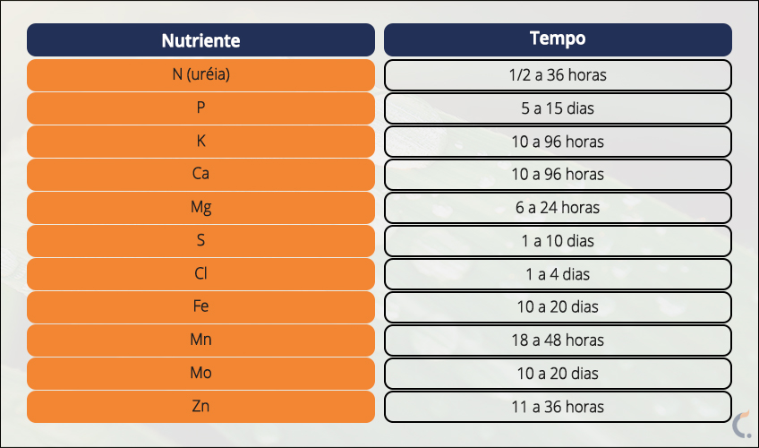 Tempo Para Absorção de 50% dos Nutrientes Aplicados nas Folhas