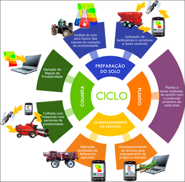 Ciclo de Produção Rural