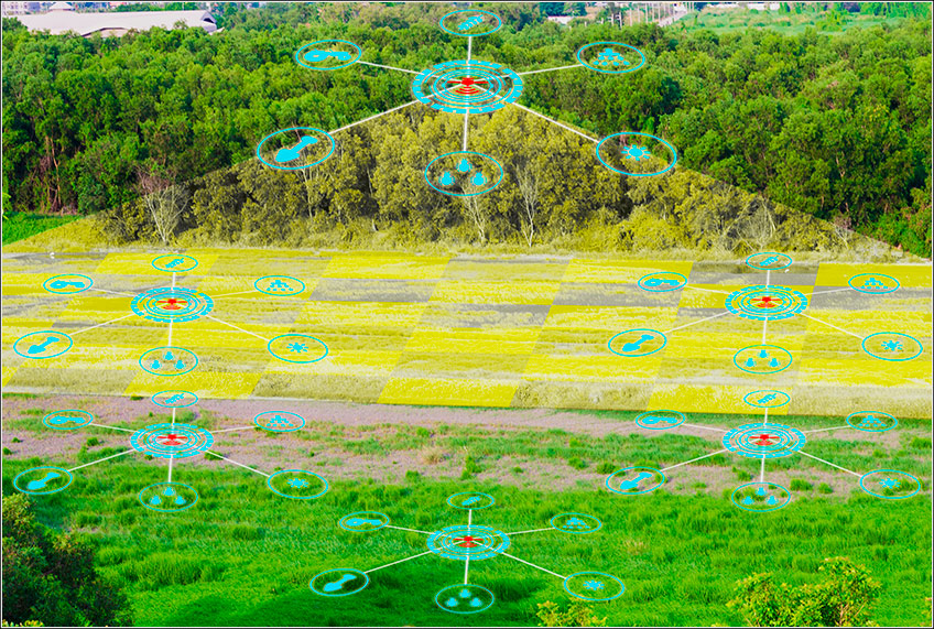 Agricultura de Precisão