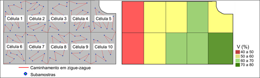 Amostragem em Célula