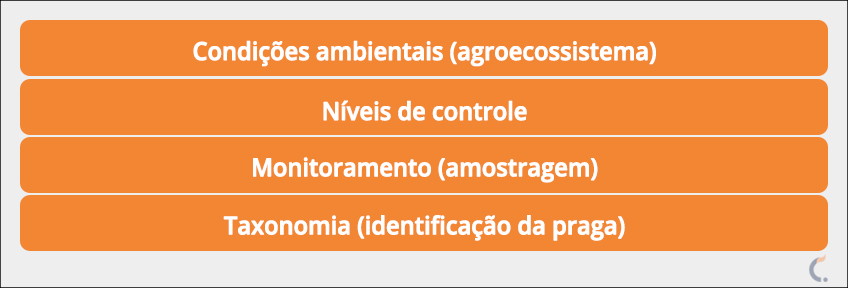 Base dos Pilares do MIP