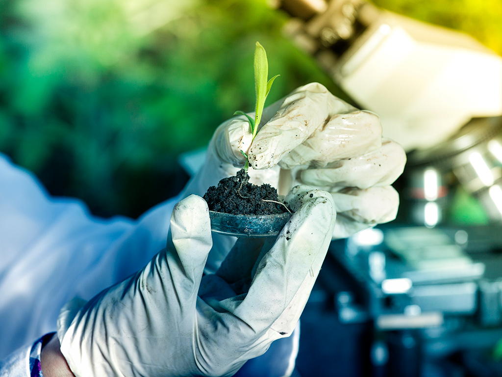 Mercado de Bioinsumos