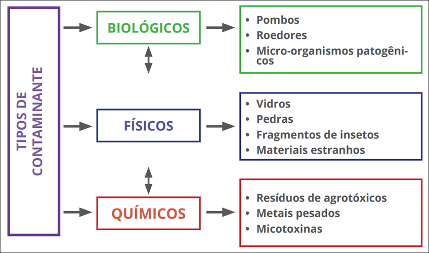 Contaminantes em Silos Contaminantes em Silos