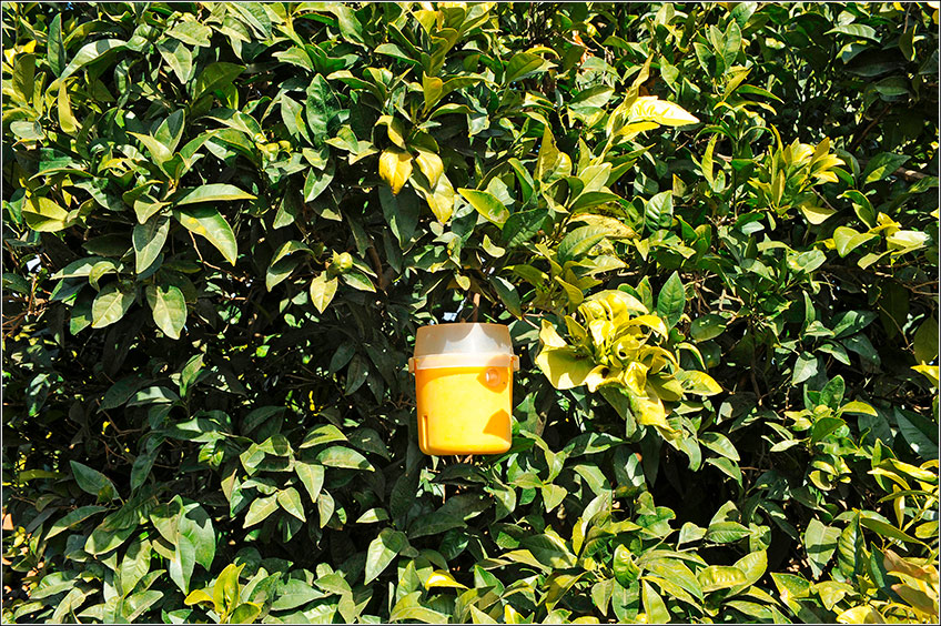 Controle Comportamental do MIP