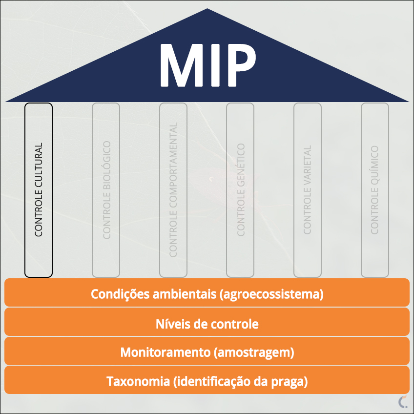 Mip Controle Cultural