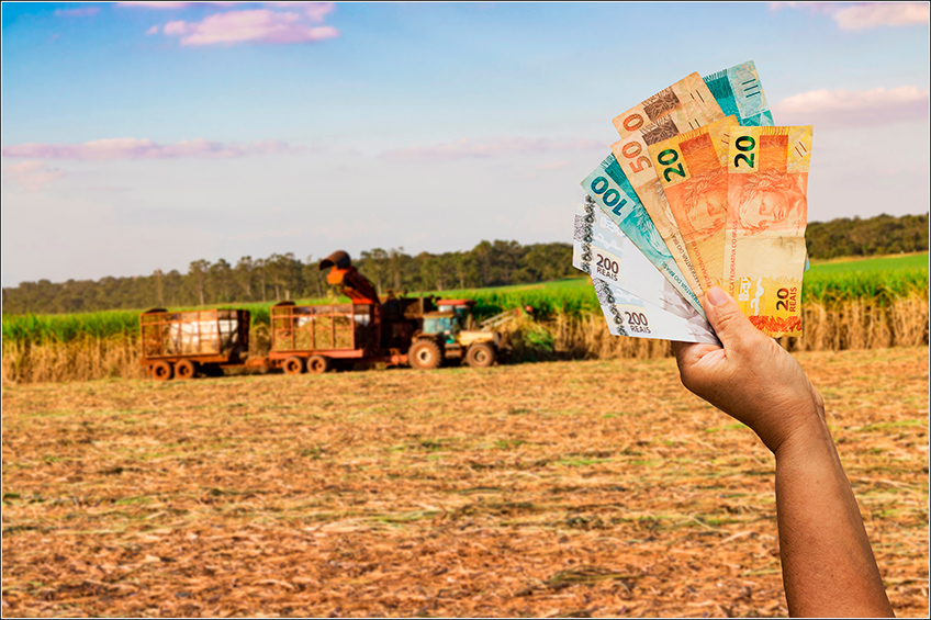 Custo Agrícola para Cana-de-Açúcar Custo Agrícola para Cana-de-Açúcar