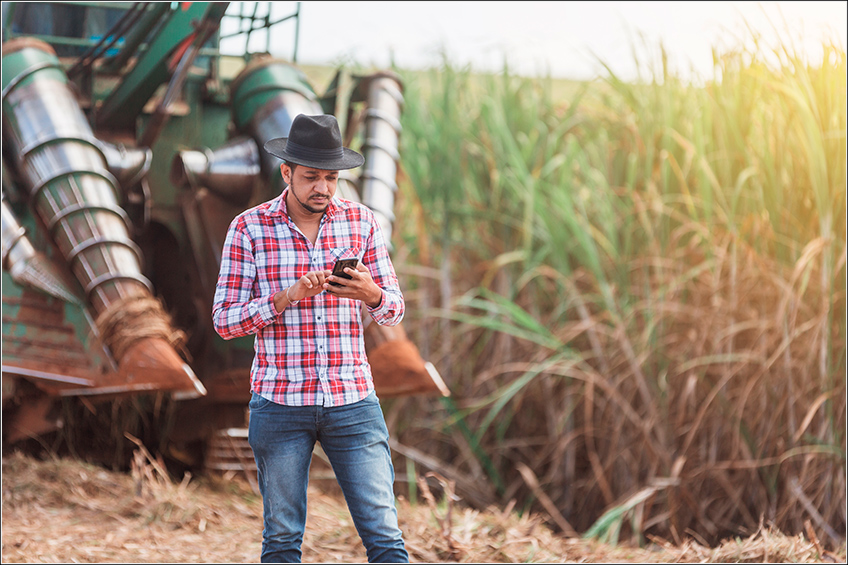 Máquinas e Implementos Agrícolas na Cana Máquinas e Implementos Agrícolas na Cana