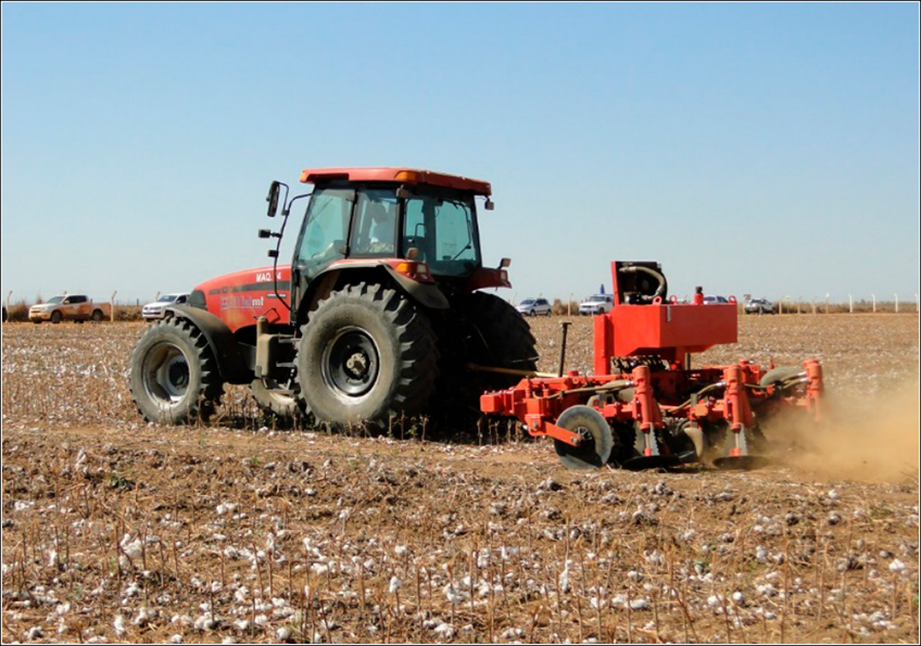 Destruição de Restos Culturais