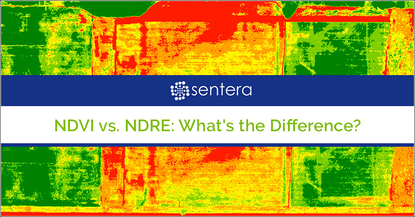 Diferença entre NDRE e NDVI