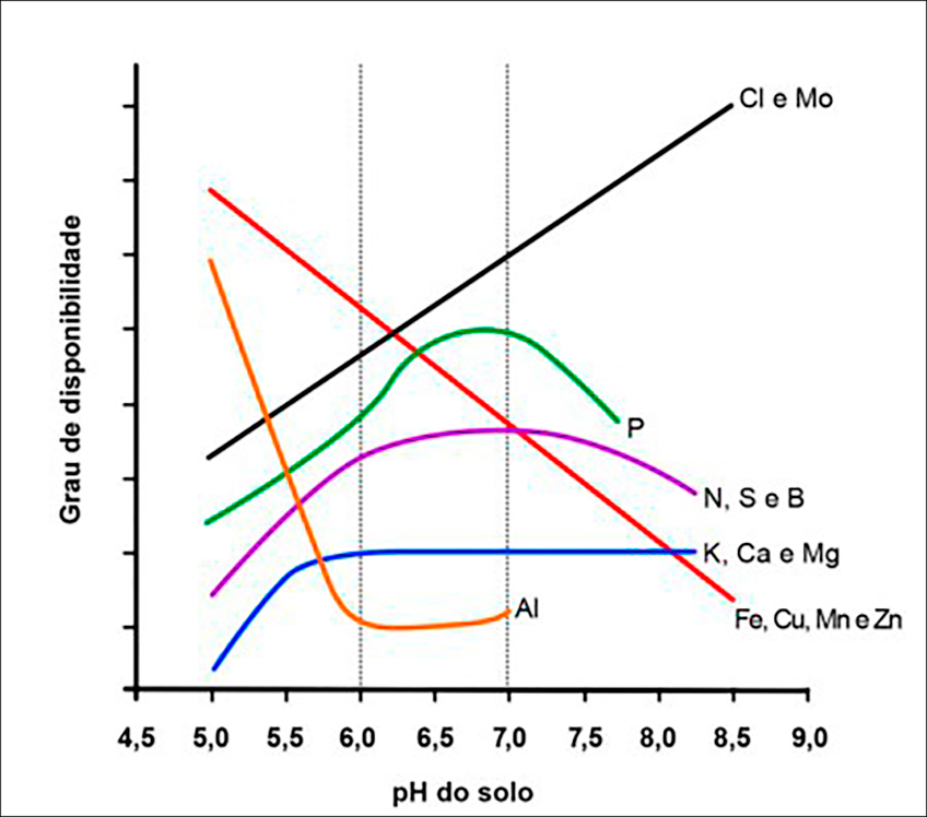 Disponibilidade de Nutrientes pelo Ph do Solo