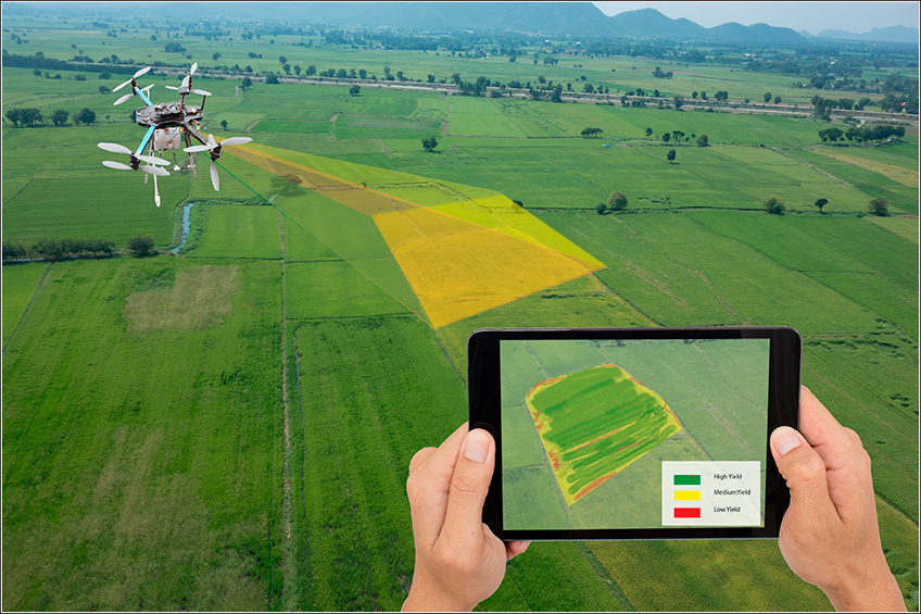Drone na Fazenda Drone na Fazenda