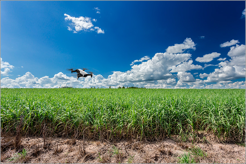 Drone na Fazenda de Cana Drone na Fazenda de Cana