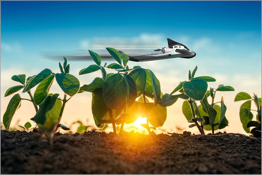 Uso de Drones na Soja