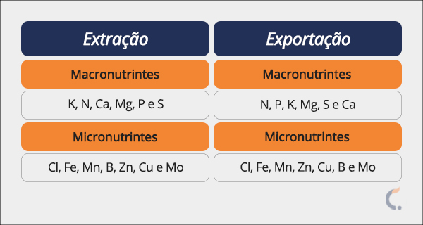 Exportação e Extração de Macronutrientes e Micronutrientes para Arroz