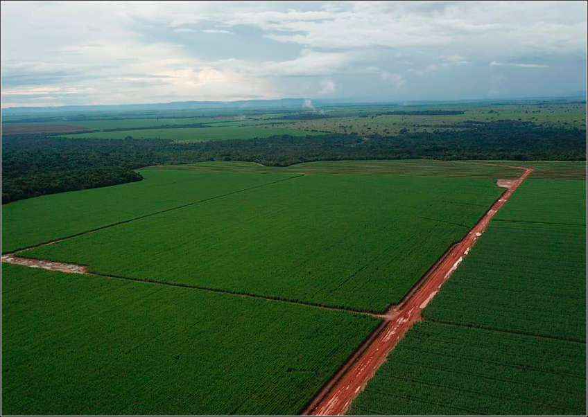 Fazenda Tupy e CHBAGRO