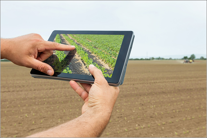 Gestão Agrícola para Pequenos Produtores de Soja Gestão Agrícola para Pequenos Produtores de Soja