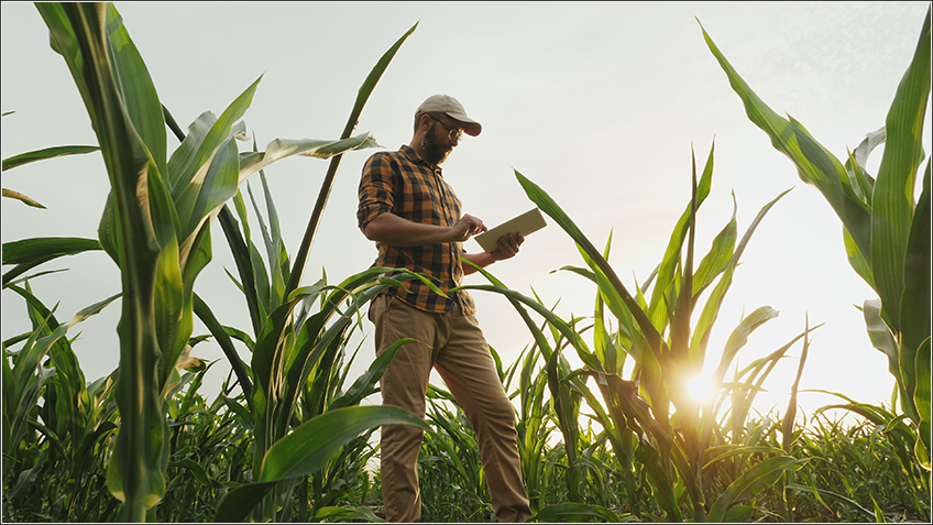 Gestão Agrícola Gestão Agrícola