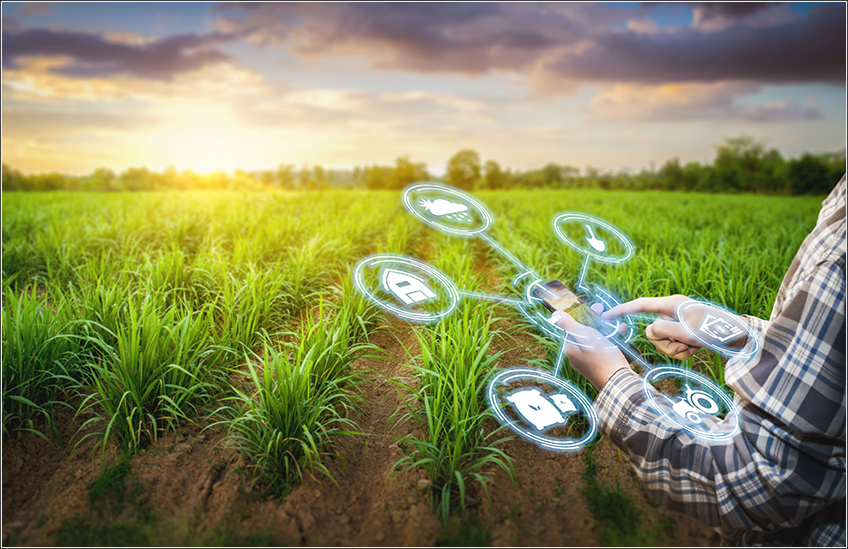 Gestão de Custo Agrícola Gestão de Custo Agrícola